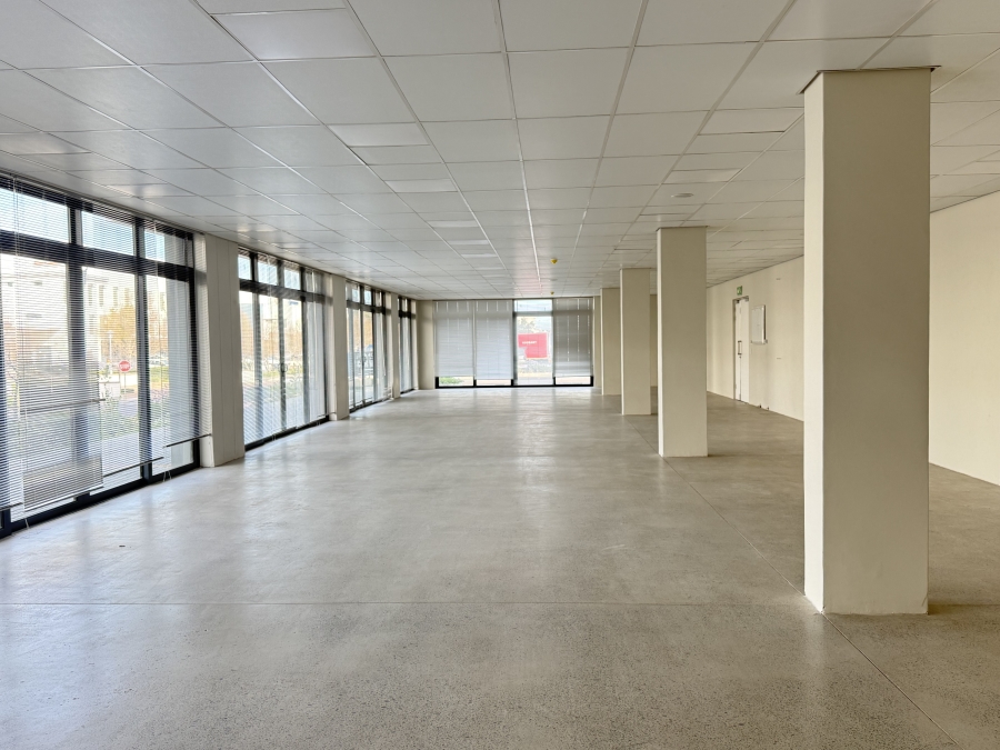 To Let Commercial Property for Rent in Paardevlei Western Cape